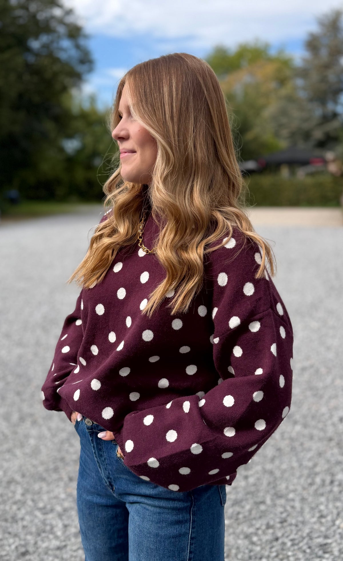 Pull à bois bordeaux